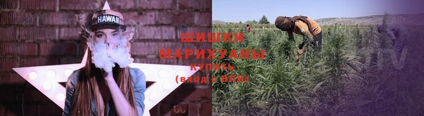 дмт Новозыбков