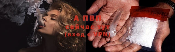 СК Абинск
