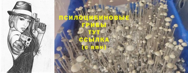 СК Абинск