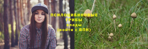 каннабис Абаза
