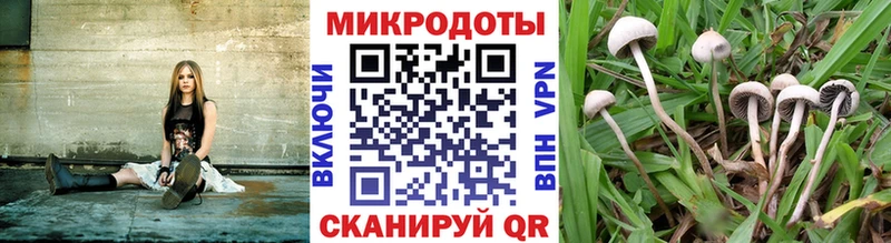 Галлюциногенные грибы Psilocybine cubensis  наркота  Юрга 